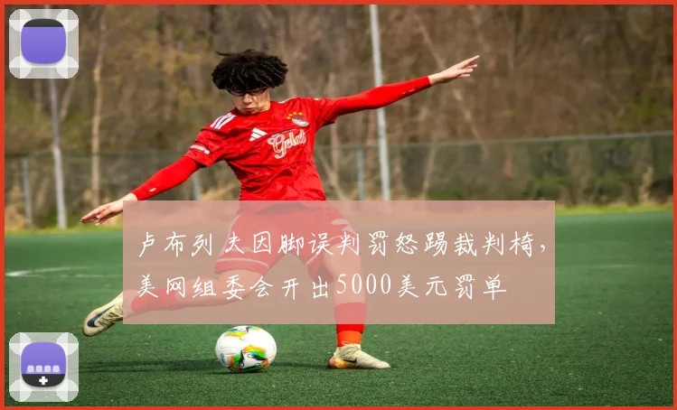卢布列夫因脚误判罚怒踢裁判椅，美网组委会开出5000美元罚单